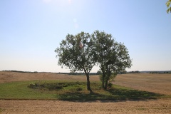 Radtour von Prenzlau über Sternhagen nach Potzlow