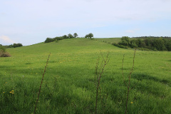 Die Choriner Endmoränenlandschaft rund um den Parsteiner See