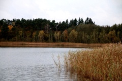 Großdöllner See