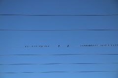 Rundtour Groß Ziethen-Altkünkendorf-Zuchenberg-Groß Ziethen 