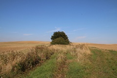 Rundtour Groß Ziethen-Altkünkendorf-Zuchenberg-Groß Ziethen