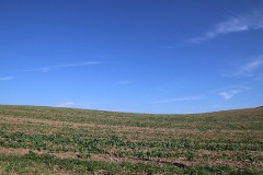 Rundtour Groß Ziethen-Altkünkendorf-Zuchenberg-Groß Ziethen
