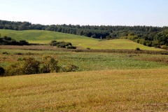 Rundtour Groß Ziethen-Altkünkendorf-Zuchenberg-Groß Ziethen