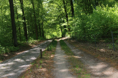Totalreservat und Naturschutzgebiet Plagefenn