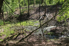 Totalreservat und Naturschutzgebiet Plagefenn