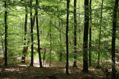 Ausflugstipps für die Uckermark