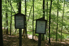 Totalreservat und Naturschutzgebiet Plagefenn