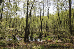 Ausflugstipps für die Uckermark