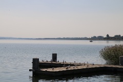 Ausflugstipps für die Uckermark