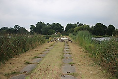 von Angermünde nach Prenzlau