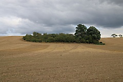 von Angermünde nach Prenzlau