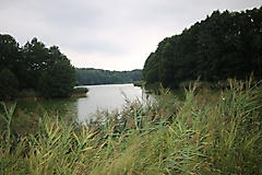 von Angermünde nach Prenzlau