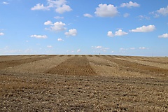 von Angermünde nach Prenzlau