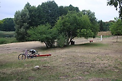 Ausflugstipps für die Uckermark