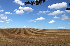 von Angermünde nach Prenzlau