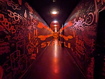 Bildergalerie: Radtour von Hamburg an der Elbe auf die Insel Pellworm (Sommer 2025)