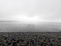 Bildergalerie: Von Hamburg an der Elbe auf die Insel Pellworm (Sommer 2025)