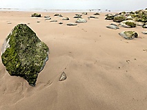 Bildergalerie: Von Hamburg an der Elbe auf die Insel Pellworm (Sommer 2025)