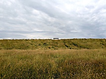 Bildergalerie: Radtour von Hamburg an der Elbe auf die Insel Pellworm (Sommer 2025)