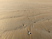 Fotos aus Paris und St. Malo (September 2025)