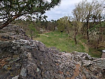 WANDERKALENDER 2026: Brandenburgs Riesen-Brocken: Der Rothsteiner Felsen
