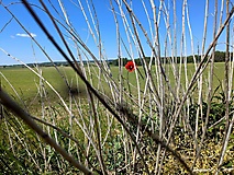 WANDERKALENDER 2026: Durch die Uckermark zu Brandenburgs schönstem Picknickplatz