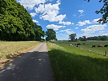 Durch die Uckermark zu Brandenburgs schönstem Picknickplatz