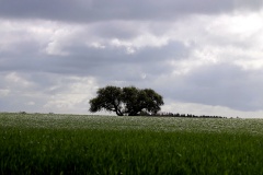 Foto-Galerien