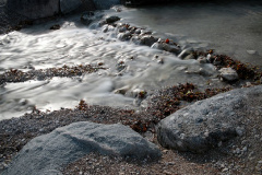 Gardasee