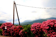 Kontrastprogramm, Korsika