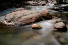 Vom Bodensee bis Korsika