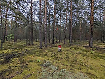 Im Süden war Neues: Von Cottbus nach Spremberg