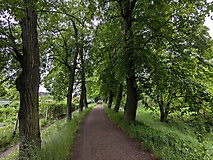 WANDERKALENDER 2026: Im Süden was Neues: Von Cottbus nach Spremberg