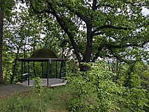 Im Süden war Neues: Von Cottbus nach Spremberg