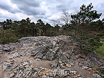 Brandenburgs Riesen-Brocken: Der Rothsteiner Felsen