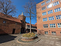 Tour durch Cottbus: Zwischen Ostsee und Pücklers Pyramiden