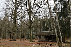 MAZ-Landpartie: In fünf Etappen durch den Nordosten Brandenburgs