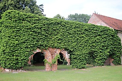 von Zehdenick nach Templin