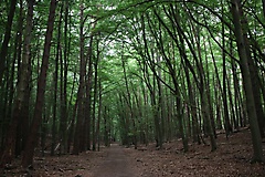 von Templin nach Angermünde