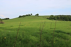 von Angermünde nach Eberswalde