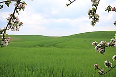 Etappe 4: Von Angermünde nach Eberswalde