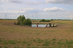 MAZ-Landpartie: In fünf Etappen durch den Nordosten Brandenburgs