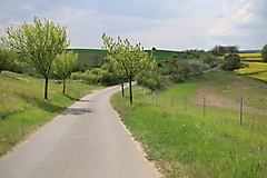 MAZ-Landpartie: In fünf Etappen durch den Nordosten Brandenburgs