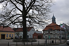 MAZ-Landpartie: In fünf Etappen durch den Nordosten Brandenburgs