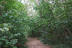 MAZ-Landpartie: In fünf Etappen durch den Nordosten Brandenburgs