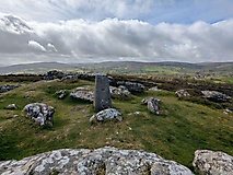 Dartmoor-Ponys, Urwald und Palmen auf den Kanalinseln: Bildergalerie Südengland und Guernsey