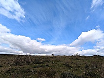 Dartmoor-Ponys, Urwald und Palmen auf den Kanalinseln: Bildergalerie Südengland und Guernsey