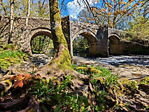 Dartmoor-Ponys, Urwald und Palmen auf den Kanalinseln: Bildergalerie Südengland und Guernsey