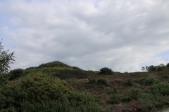 Radtouren und              Fernradwege