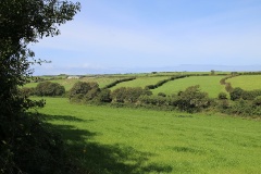 Der Mining Trail in Cornwall